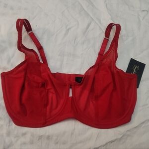 Fredricks of Hollywood bra 36F Jess Jolie